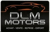 DLM Motors